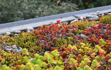 the cost of Great Somerford green roof installation