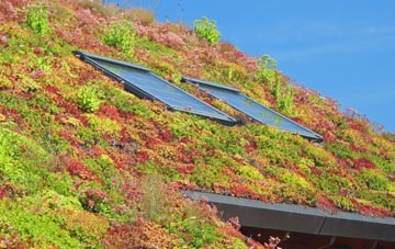 Great Somerford living roof systems